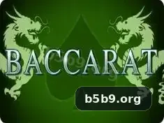 b5b9 visual 1